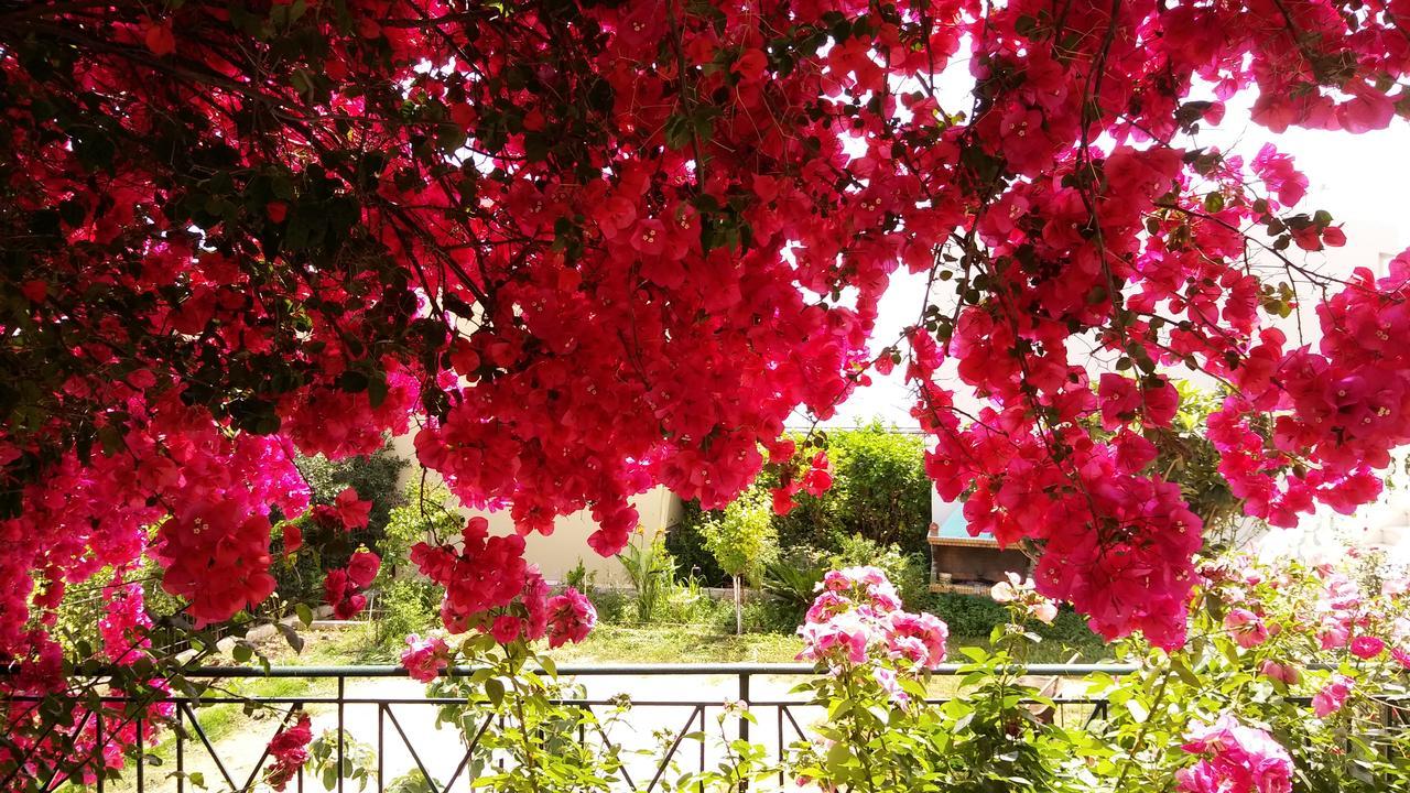 Markella'S House วราโวนา ภายนอก รูปภาพ